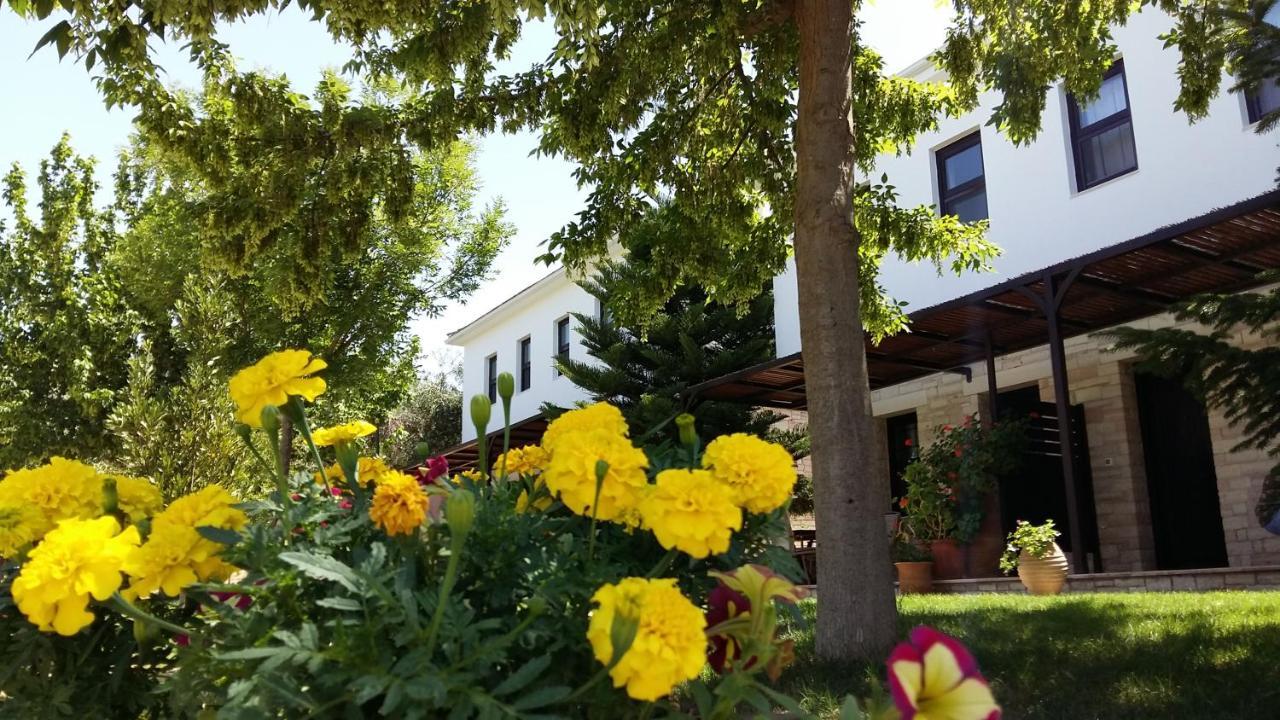 Sivota Apartments Athina Екстер'єр фото