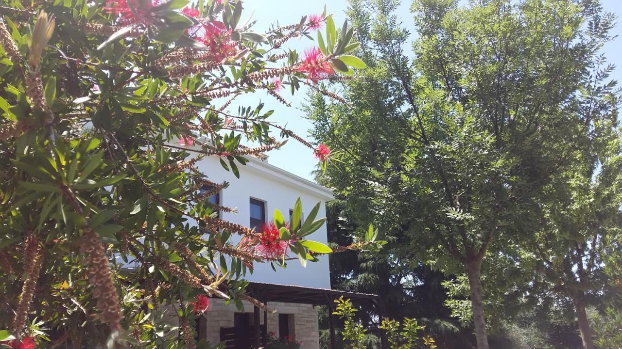 Sivota Apartments Athina Екстер'єр фото